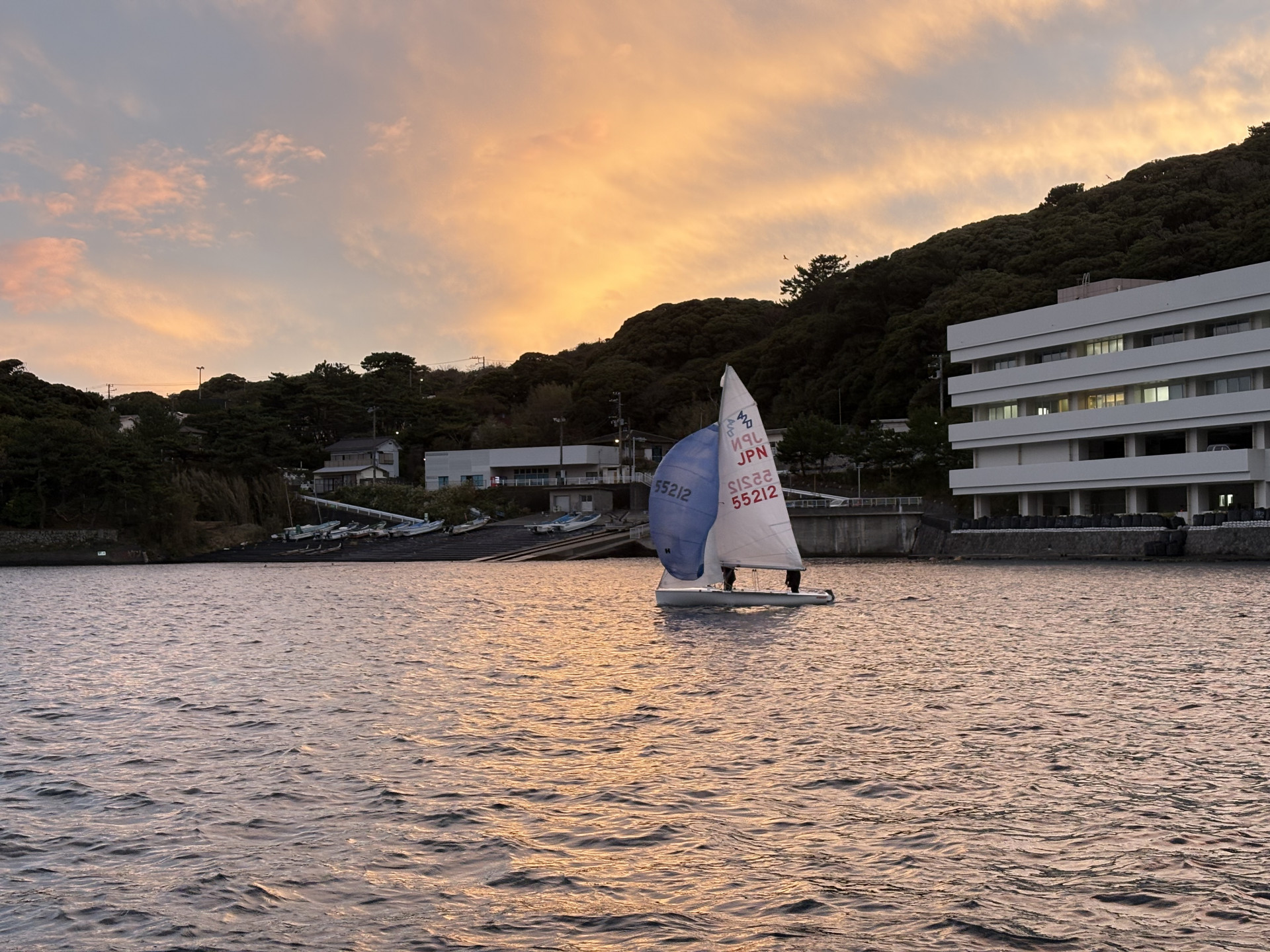 画像 -20251106-074445-fb509889